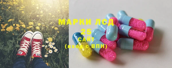 гидропоника Горнозаводск