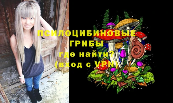ALPHA-PVP Горняк