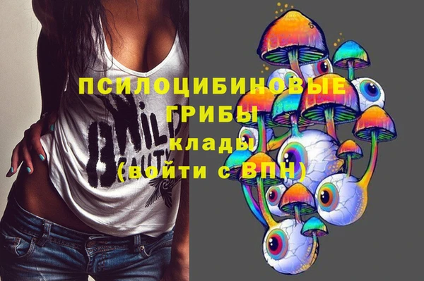 гидропоника Горнозаводск