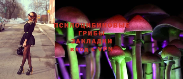 гидропоника Горнозаводск