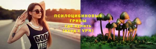 бутират Горно-Алтайск