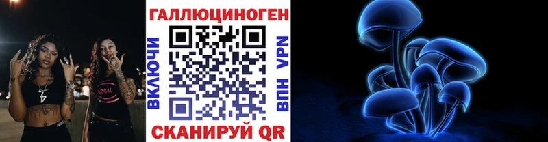 Псилоцибиновые грибы Psilocybe  Купить где  Ртищево 