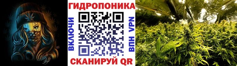 Купить где  Ртищево  Каннабис LSD WEED 
